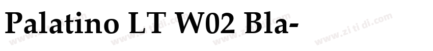 Palatino LT W02 Bla字体转换